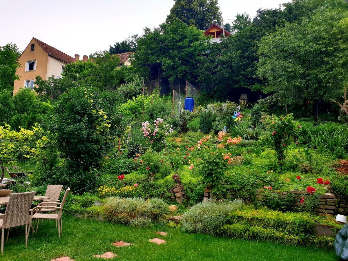 Casa Sperantei Apartment ซิวิโชอารา ภายนอก รูปภาพ