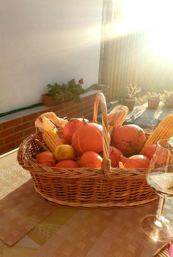 Casa Sperantei Apartment ซิวิโชอารา ภายนอก รูปภาพ
